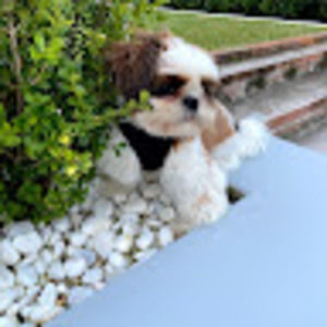 Meet your Posher, Erica